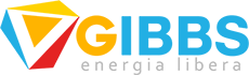 Gibbs Energia